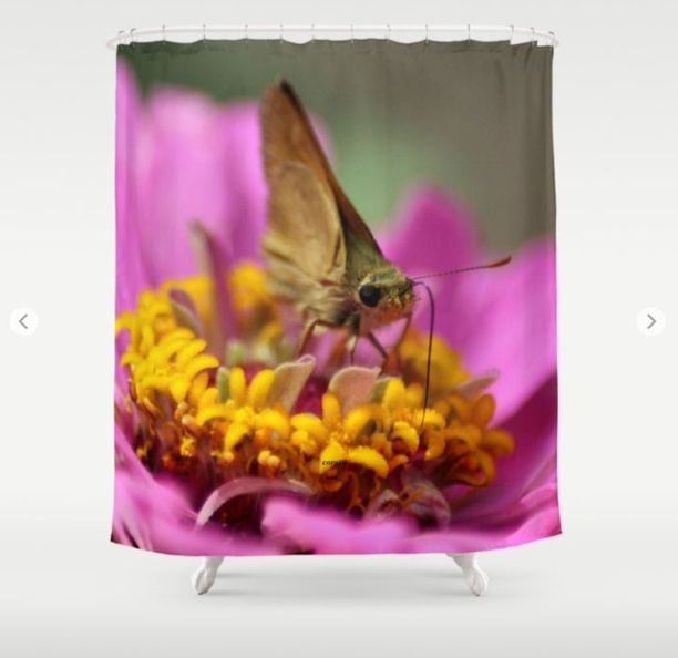 Colorful Skipper Butterfly Shower Curtain.jpg