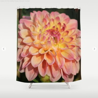 Colors Of The Dahlia Flower Shower Curtain