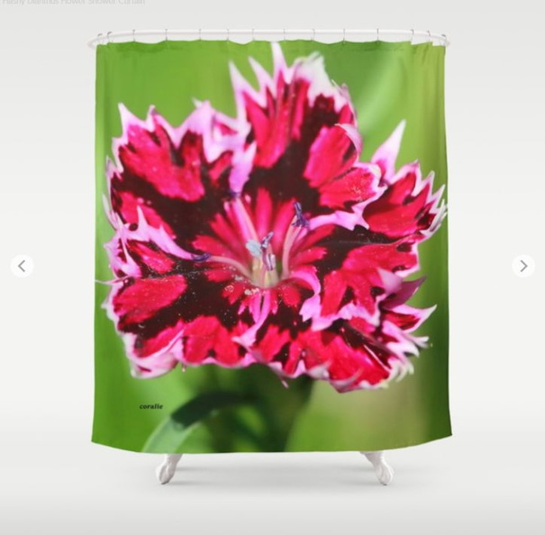 Flashy Dianthus Flower Shower Curtain.jpg