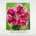 Flashy Dianthus Flower Shower Curtain