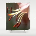 Micro of a Lily Flower in Bloom Shower Curtain