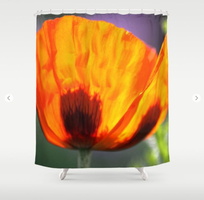 Orange Poppy Flower Shower Curtain