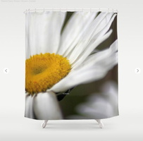 Shasta Daisy Flower Shower Curtain
