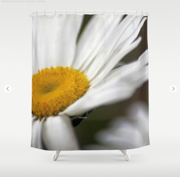 Shasta Daisy Flower Shower Curtain.jpg