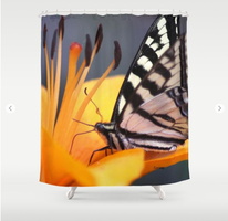 Swallowtail Butterfly On A Lily Flower Shower Curtain