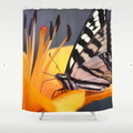 Swallowtail Butterfly On A Lily Flower Shower Curtain