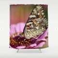 West Coast Painted Lady Butterfly Shower Curtain