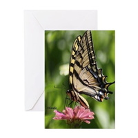 colorful yellow swallowtail butterf greeting cards