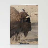 buffalo-bull336862-cards