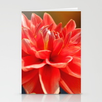 portrait-of-a-dahlia-bloom-cards
