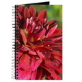 arabian night dahlia flower bloom 061 journal