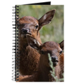 Baby Elk Calves Journal