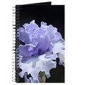 blue tall bearded iris journal