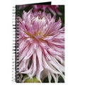 colorful dahlia flower 218 journal