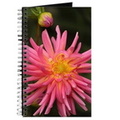 dahlia flower in the flower bed journal