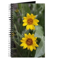 oregon wildflower 304 journal