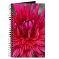 pink dahlia flower 532 journal