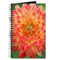 procyon dahlia flower bloom 087 journal