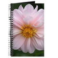 soft pink dahlia 649 journal