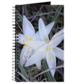 White Sand Lily Flower Journal