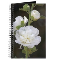 white hollyhock flowers journal