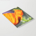 Orange Poppy Flower Notebook