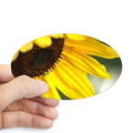 personality of the sunflower sticker oval