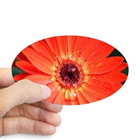 colorful red chrysanthemum flower sticker