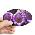colors of the b ell flowers sticker oval
