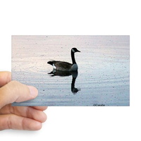 goose sticker rectangle