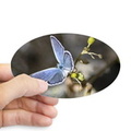 karner blue butterfly sticker oval