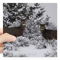 Mule Deer Sticker