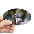portrait of a dove sticker