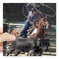 rodeo roping sticker