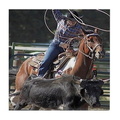 rodeo roping tile coaster