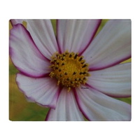 colorful bloom in the flower bed throw blanket