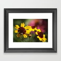colorful-daisy-flowers-framed-prints