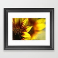colors-of-the-sunflowers-framed-prints