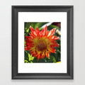 fire-in-the-sky-dahlia-flower-096-framed-prints