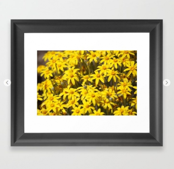 High Desert Wildflowers Framed Art Print.jpg