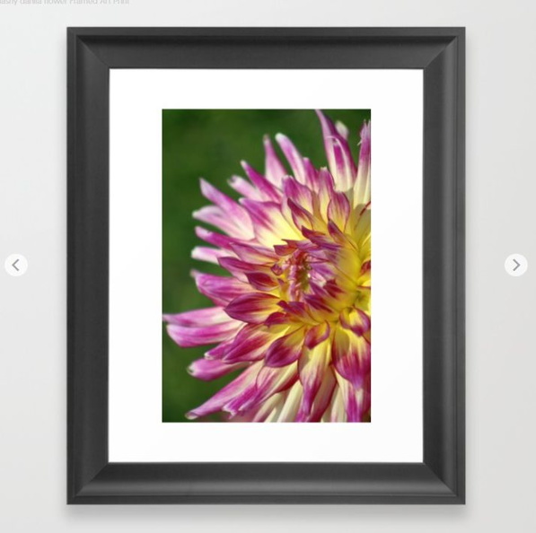 flashy dahlia flower Framed Art Print.jpg