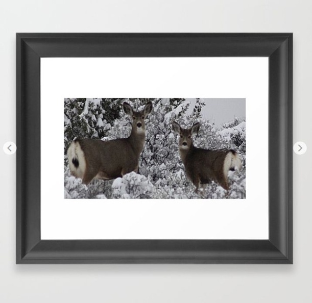 Mule Deer in the Oregon Snow Framed Art Print.jpg