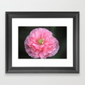 pink-ruffled-poppy-flower-framed-prints