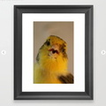 Singing Canary Framed Art Print