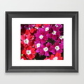 verbena-flowers-framed-prints