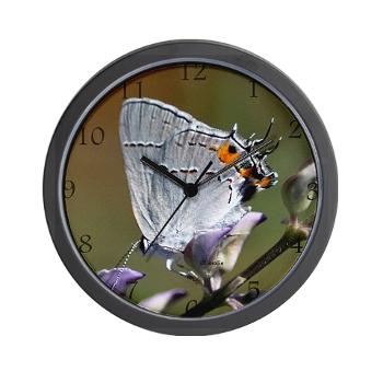 gray_hairstreak_butterfly_wall_clock.jpg