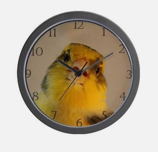 singing canary wall clock.jpg