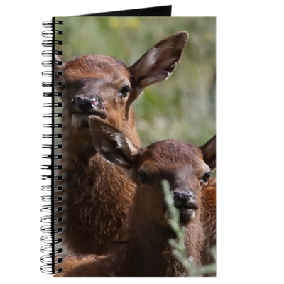 Baby Elk Calves Journal.png