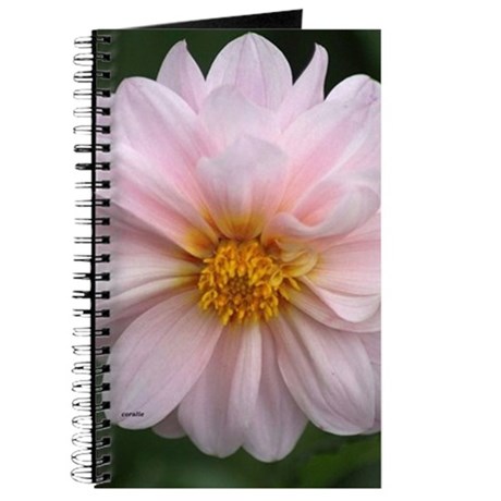 soft pink dahlia 649 journal.jpg