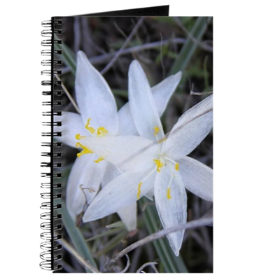 White Sand Lily Flower Journal.png
